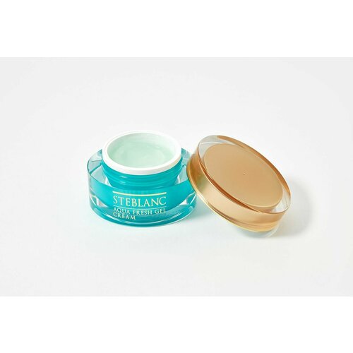 Увлажняющий крем-гель для лица Steblanc aqua fresh gel cream