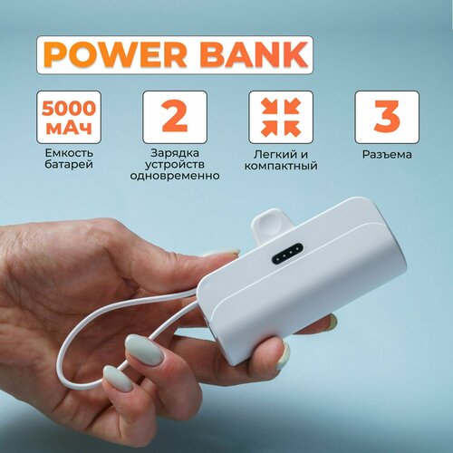 Повербанк для телефона с двумя разъемами USB Type-C и Lightning 75800₽