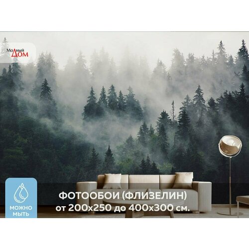 Фотообои на стену Модный Дом Лес в Тумане 400x280 см (ШxВ) фотообои модный дом в стране цветов 270x400 см