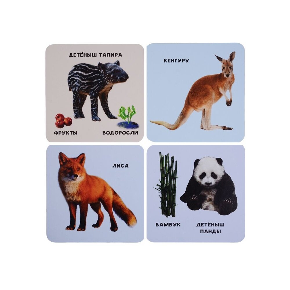 Животные и их детеныши (35 двусторонних карточек) - фото №7