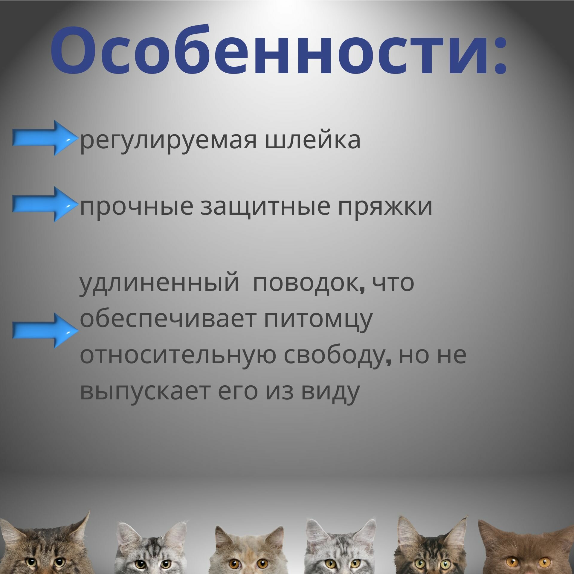 Шлейка для кошек с поводком, обхват шеи 20-30 см, обхват груди 30-42 см, ширина поводка 1 см, длина поводка 90-170 см, цвет синий, M-PETS - фотография № 2