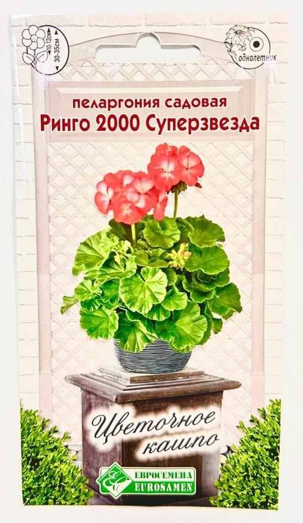 Пеларгония садовая ринго 2000 суперзвезда, 3 семени / Евросемена