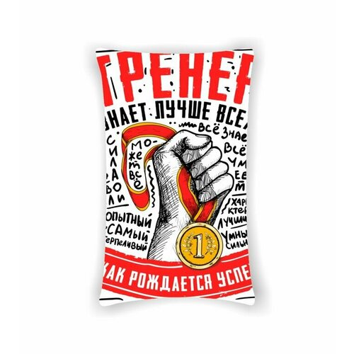Подушка ко Дню учителя №3, С одной стороны, размер 40 на 29 см
