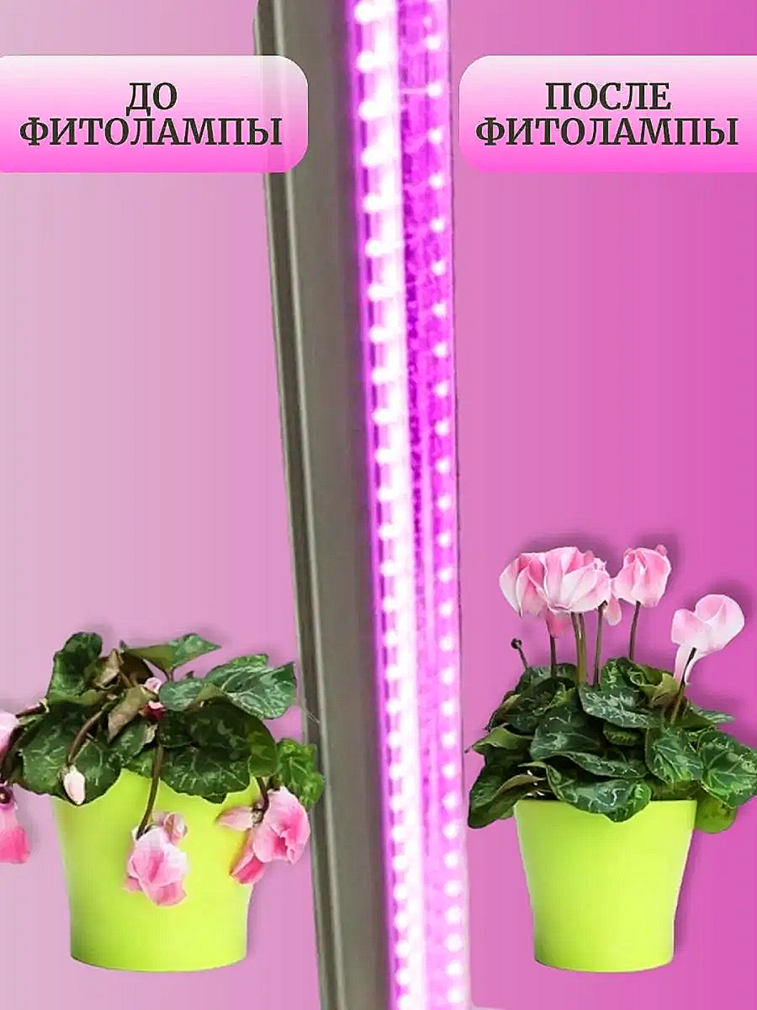 Фитолампа для растений и рассады LED 60 см 10 Вт - фотография № 3