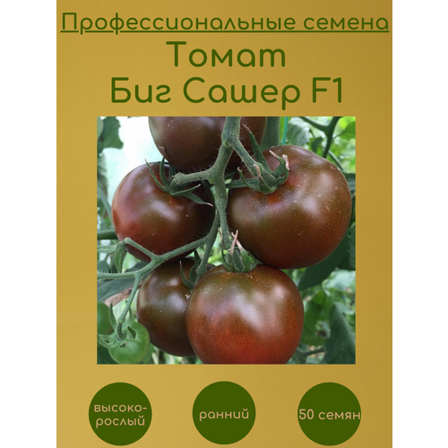 Томат Биг Сашер F1 50 семян