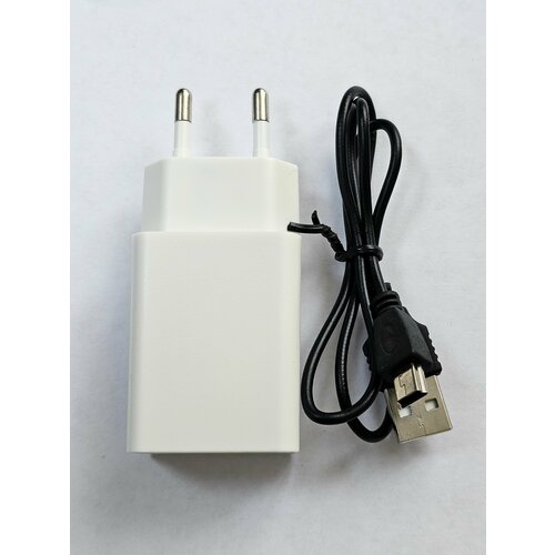 Блок питания (сетевой адаптер) для телефона USB 5V-2A с mini-USB кабелем