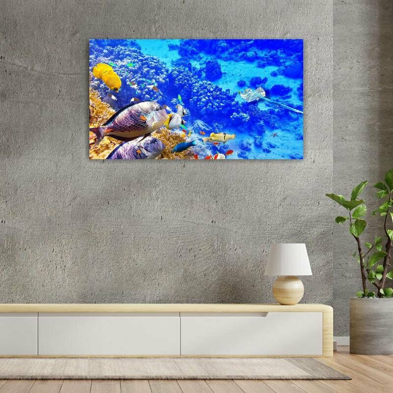 Картина на холсте 60x110 LinxOne "Underwater fishes coral" интерьерная для дома / на стену / на кухню / с подрамником