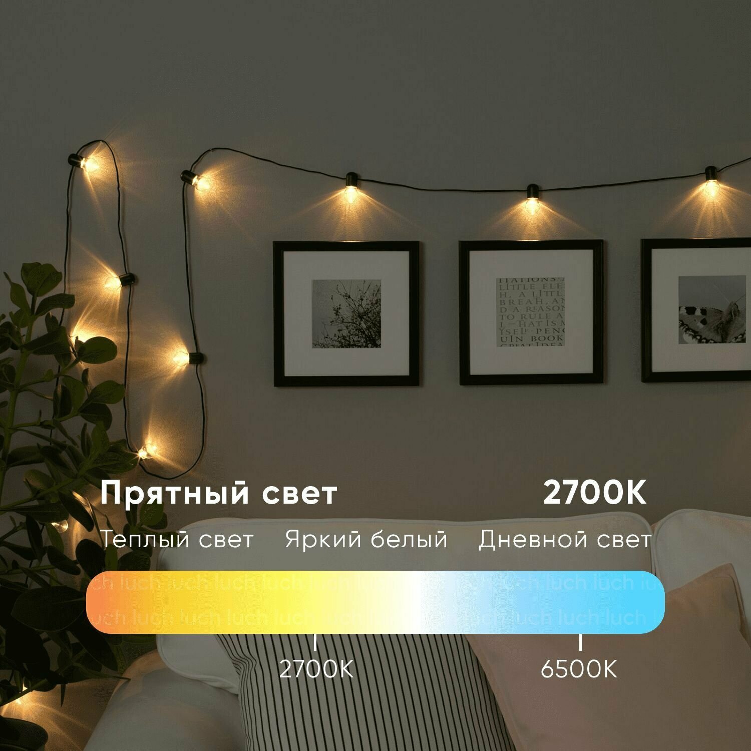 Электрогирлянда — фото 1