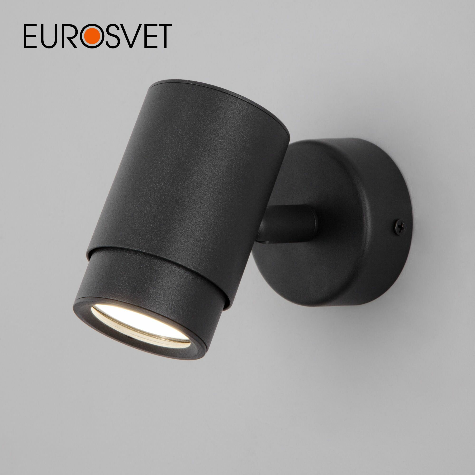 Спот / Настенный светильник Eurosvet Morgan 20124/1 черный