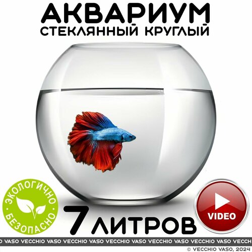 Аквариум vecchio vaso шар круглый стеклянный для рыбок 7 литров