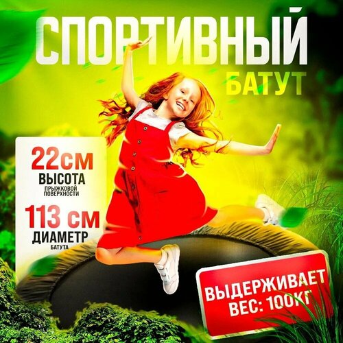 Батут спортивный TAKARA LN-2400-45 цвет черный диаметр 113 см 5047₽