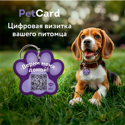 Адресник PetCard для собак и кошек с QR кодом и NFC, фиолетовый.