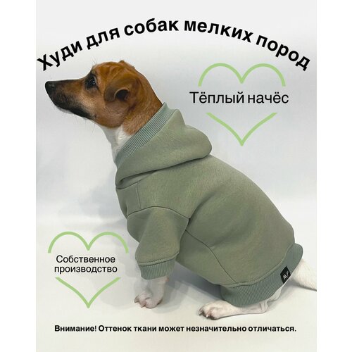 Худи для собак