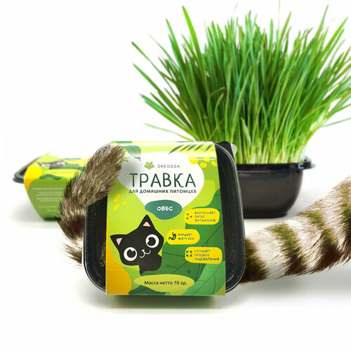 Трава для кошек в лотке DREOSSA 500мл