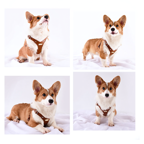 Шлейка Loudik для собак маленьких и средних пород размер S цвет коричневый 1665₽