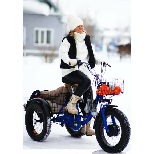 Электровелосипед велосипед с электрическим двигателем трехколесный фэтбайк для взрослых всесезонный тип Зима-Лето синий 147879₽