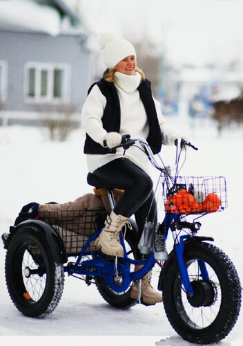 Изображение товара Велосипед Трайк Байк с электрическим двигателем, трехколесный для взрослых, фэтбайк, LiFePO4, всесезонный, синий