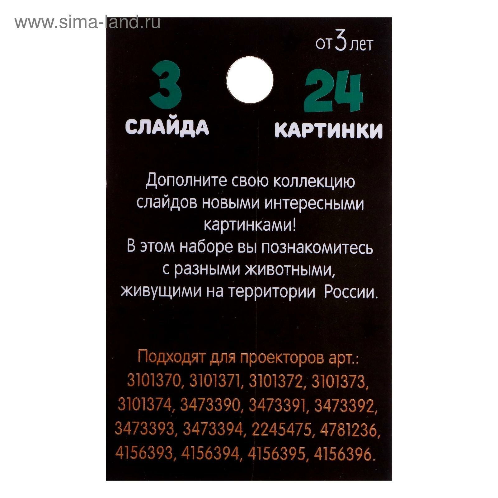 Набор слайдов для проектора ZABIAKA "Животные России" SL-04538 — фото 1