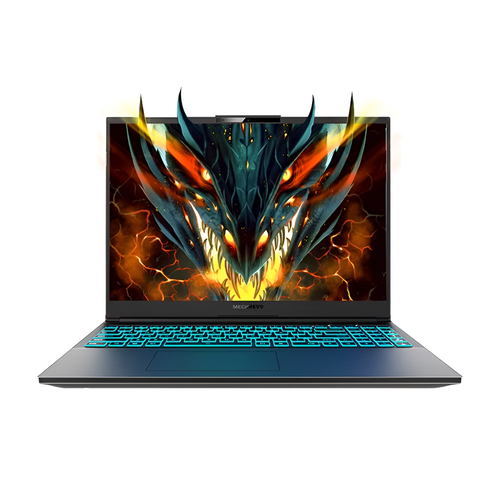 Mechrevo Jiaolong 16K, Ryzen 7 7435HS, IPS 2.5K 165Гц, RTX 4060, RAM 16ГБ, SSD 512ГБ, Windows 11 Home, Русская раскладка, Серый