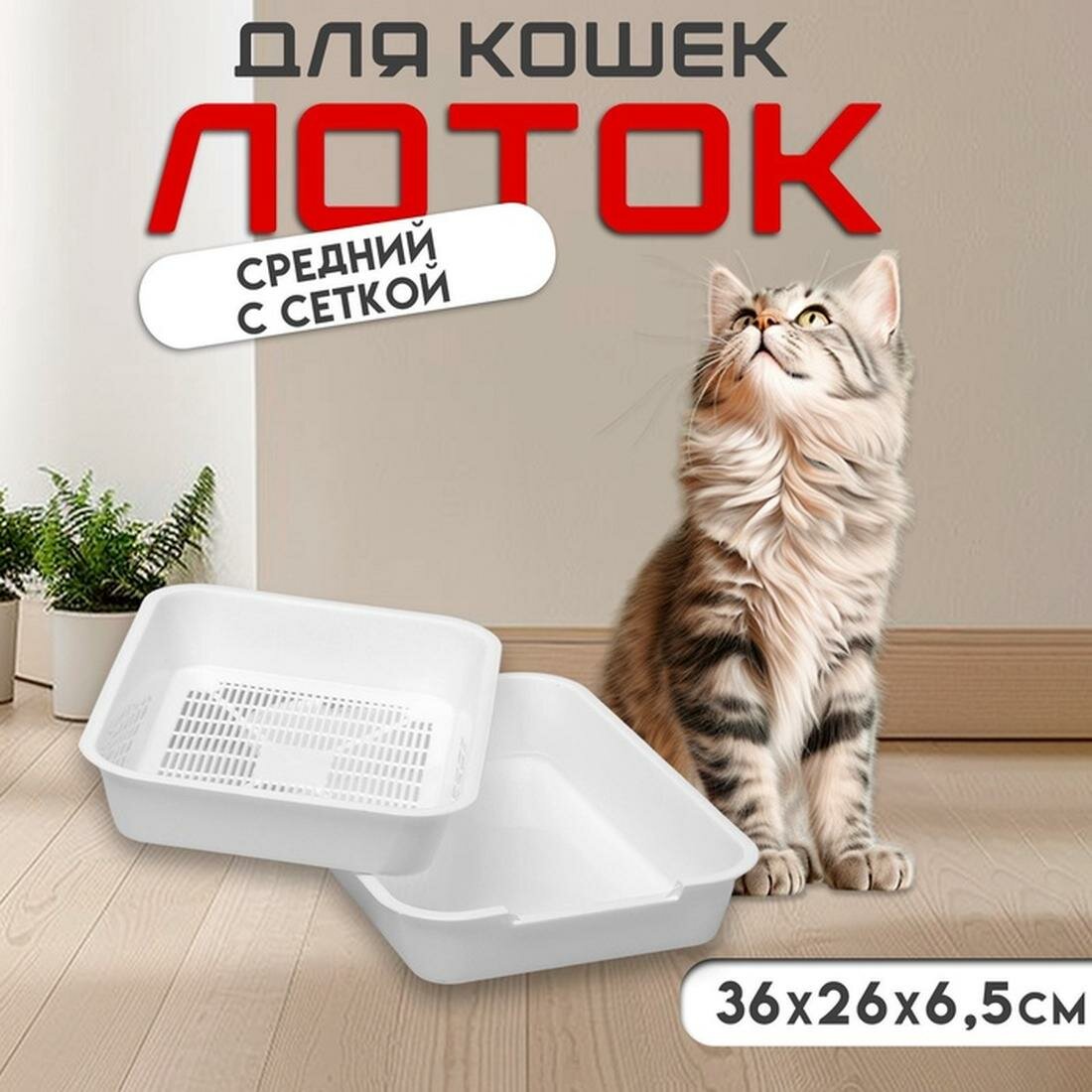 Туалет средний с сеткой 36 х 26 х 65 см белый пластик прямоугольный