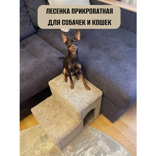 фото Лесенка для собак и кошек, прикроватная, моя котя, ковролин бежевый