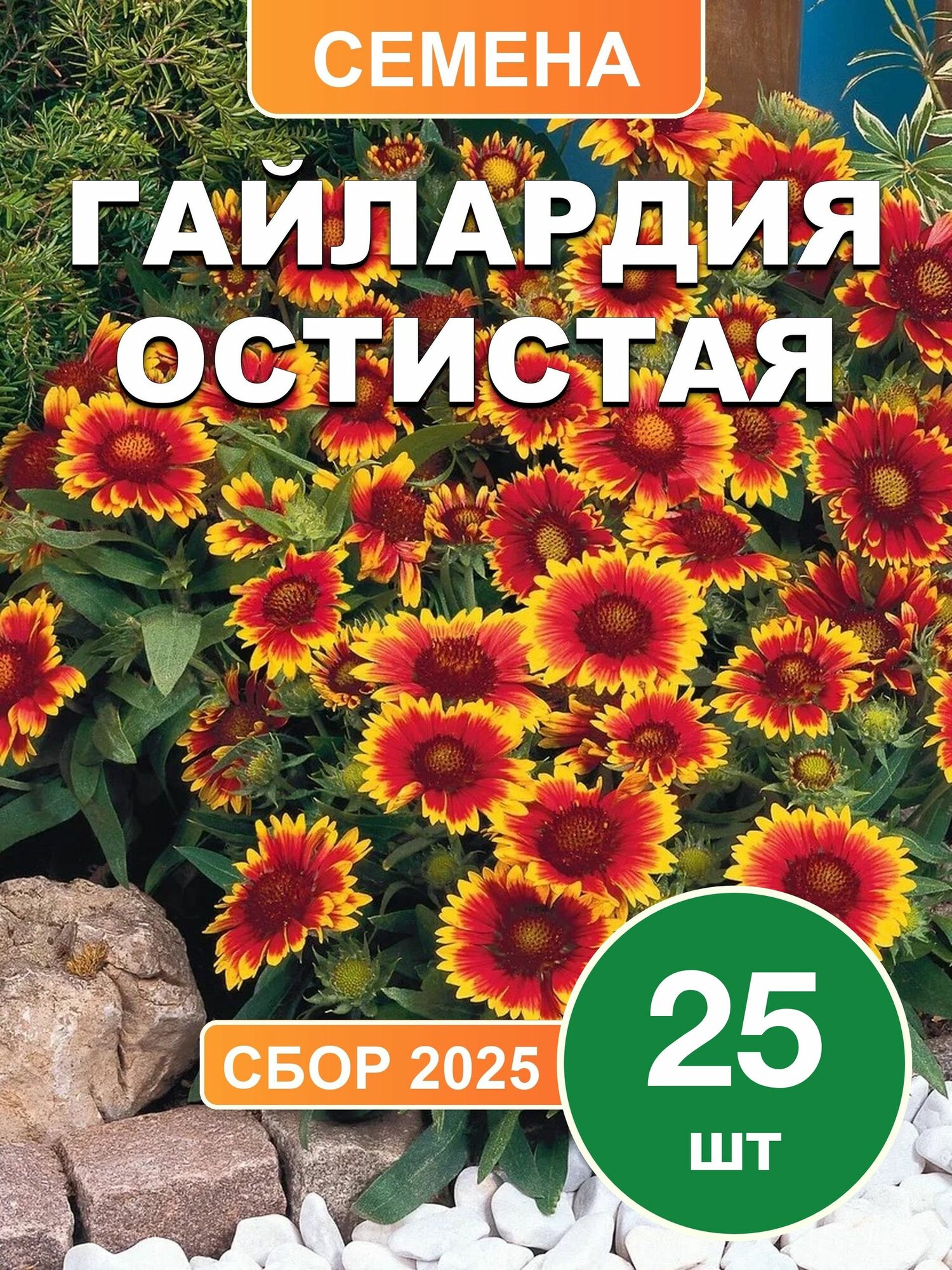 Гайлардия остистая, семена, 25 шт