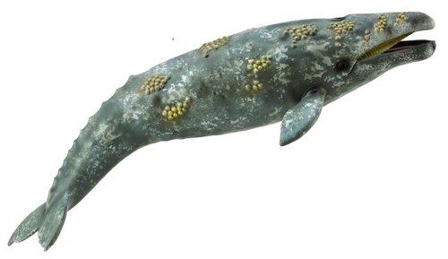 Фигурка Collecta Серый кит 88836, 5.5 см