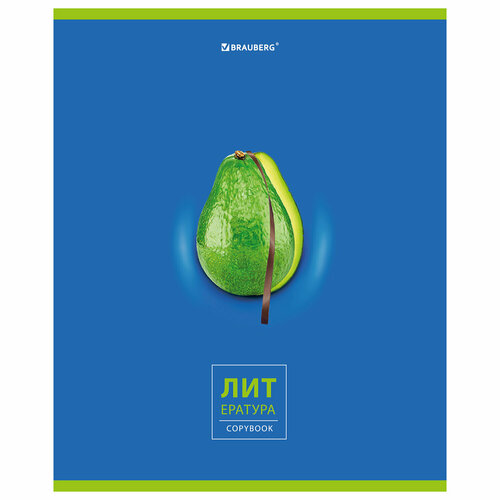 Тетрадь BRAUBERG 404281, комплект 10 шт. тетрадь предметная avocado 48 л глянцевый лак литература линия подсказ 404281