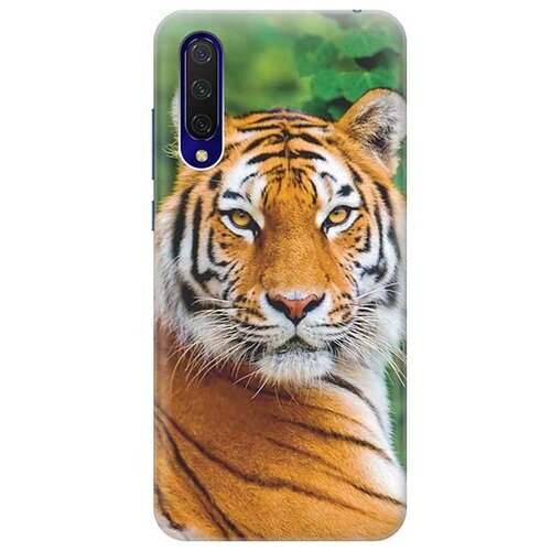 фото Чехол - накладка artcolor для xiaomi mi 9 lite / cc9 с принтом "портрет тигра" re:pa