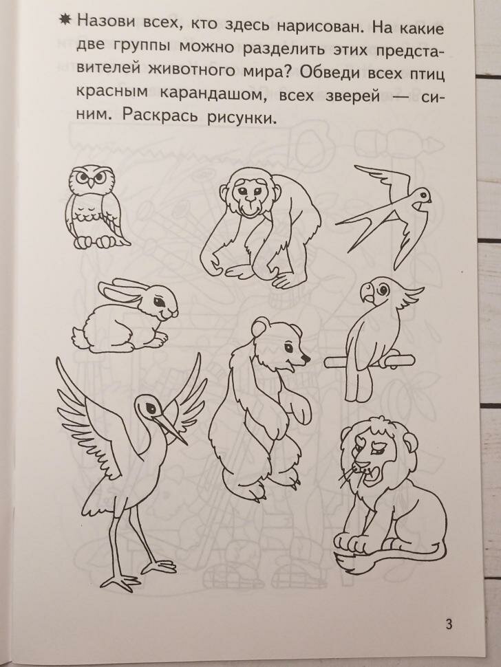Знакомимся с окружающим миром. Рабочая тетрадь для детей 4-5 лет - фото №10