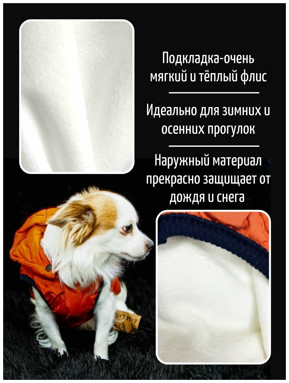 Зимняя куртка с капюшоном для собак и кошек - фотография № 2