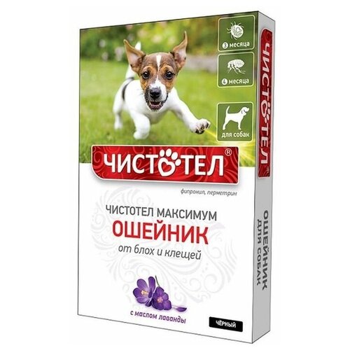 ЧИСТОТЕЛ ошейник от блох и клещей Максимум для собак, щенков, кошек, для домашних животных, 65 см, черный 1 шт. в уп., 1 уп. ошейник для кошек черный чистотел максимум 40 см