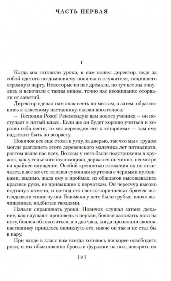 Госпожа Бовари. Воспитание чувств. Простая душа - фото №2