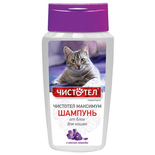 ЧИСТОТЕЛ шампунь от блох и клещей Максимум для кошек 1 шт. в уп., 1 уп. чистотел раствор от блох и клещей максимум для кошек и собак от 1 до 60 кг 1 шт в уп 1 уп