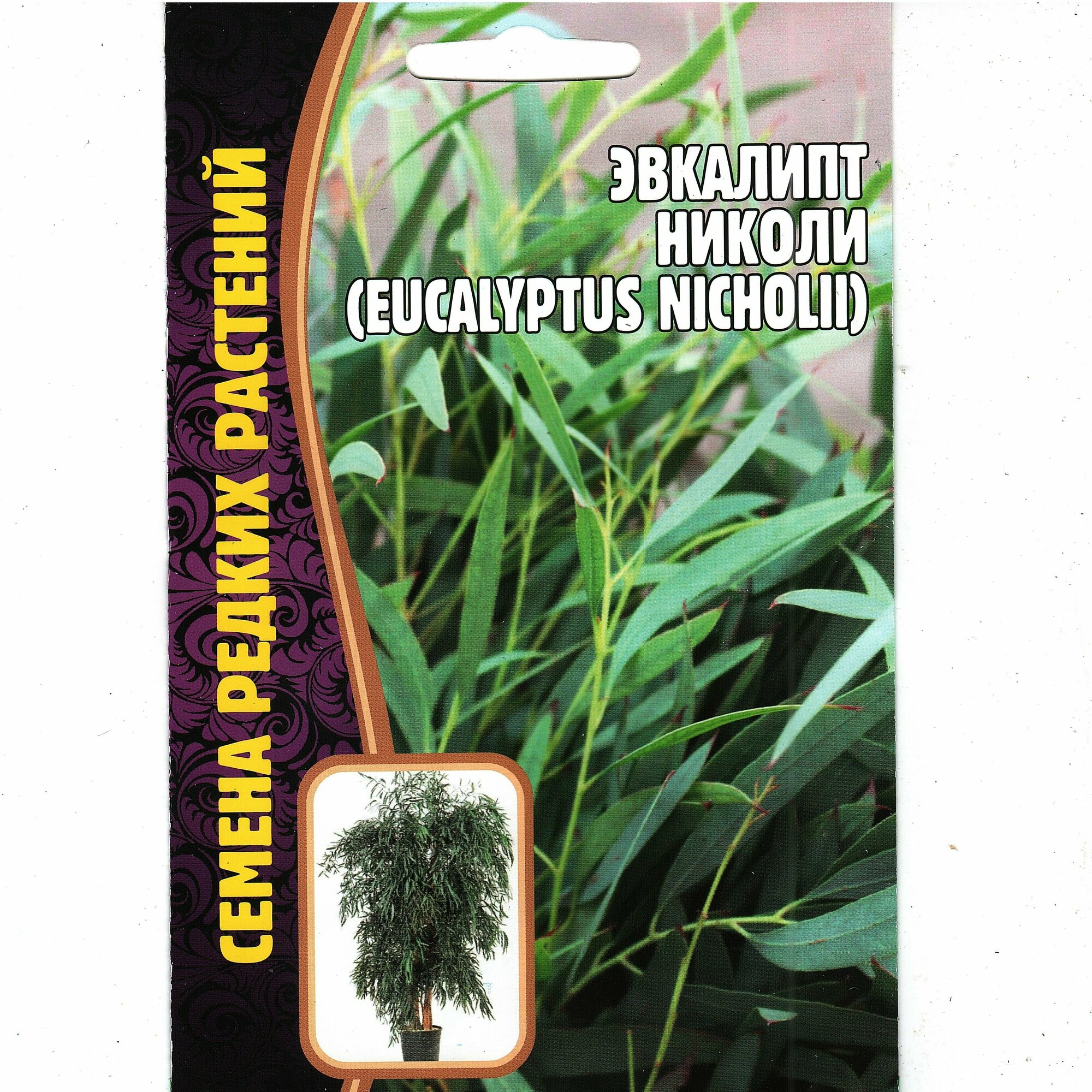 Эвкалипт николи /EUCALYPTUS NICHOLII комнатный многолетник ( 1 уп: 001 г )