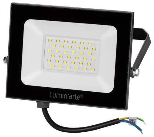 Прожектор LuminArte LFL-50W/05, 50 Вт, свет: холодный белый