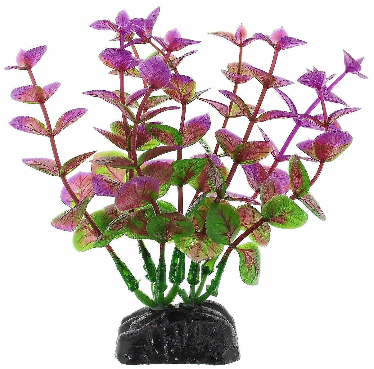 Искусственное растение BARBUS Бакопа красная 10 см зеленый/фиолетовый - фотография № 1