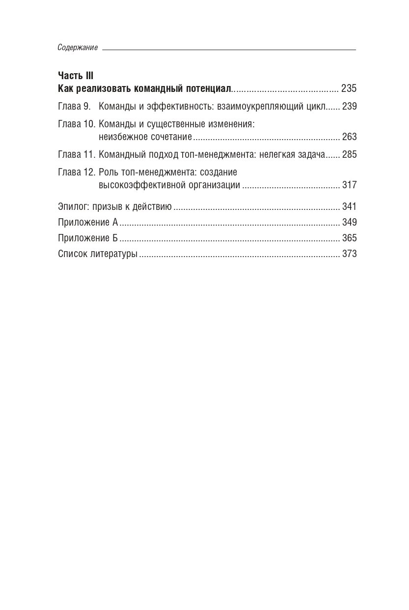 Командный подход: Создание высокоэффективной организации - фото №9