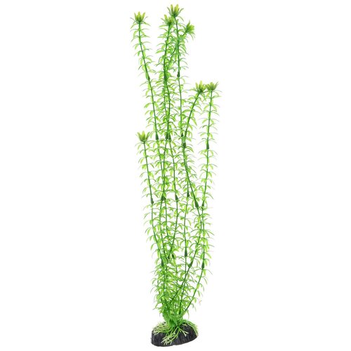 Пластиковое растение Barbus Элодея 50 см.