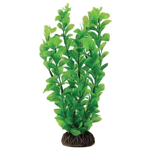 Искусственное растение Laguna Людвигия 20 см 20 см зеленый искусственное растение artuniq людвигия 20 см 20 см зеленый