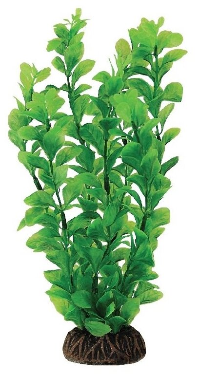 УЮТ Растение аквариумное 20см Людвигия зеленая 0,165кг (ВК407)