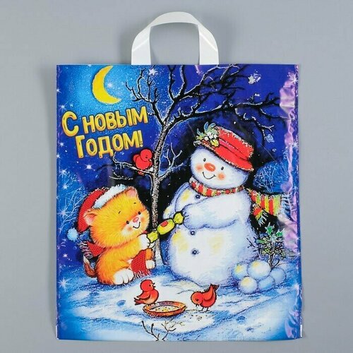 Пакет Вечерок полиэтиленовый с петлевой ручкой 38х42 см 40 мкм 25 шт 960₽