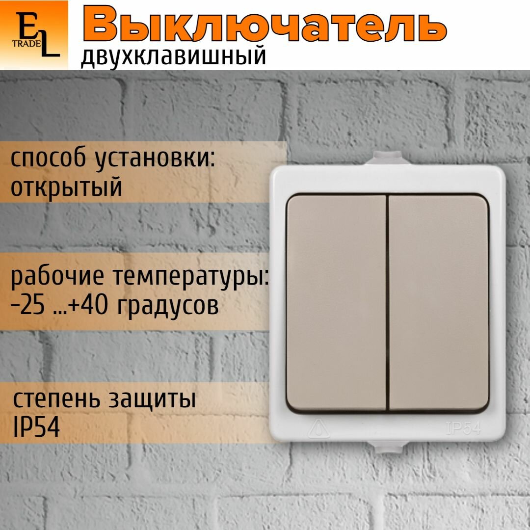 Выключатель двухклавишный TDM Electric - фото №7