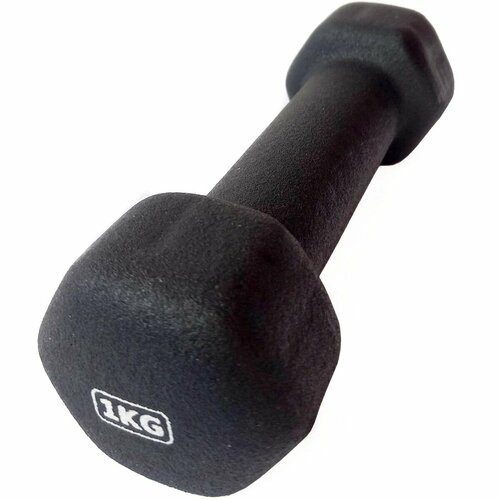 Спортивный инвентарь для детей домашний гантели для фитнеса женские неопреновые тренировочные блины с грифом для силовых занятий и тяжелой атлетики прорезиненные атлетические мини гантельки 1 кг 524₽