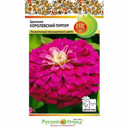 Цинния изящная Королевский пурпур