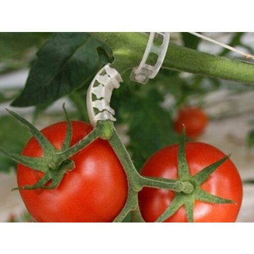 Кистедержатель для томатов Улитка, 35 шт