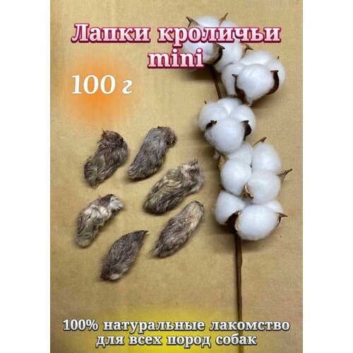 Лакомства для собак Хищный нос - Лапки кроличьи mini