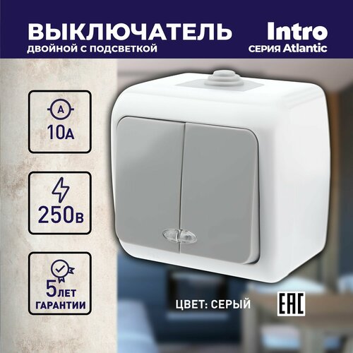 Выключатель Intro Atlantic 5-105-03 двойной с подсветкой, 10А-250В, IP54, открытой установки, серый