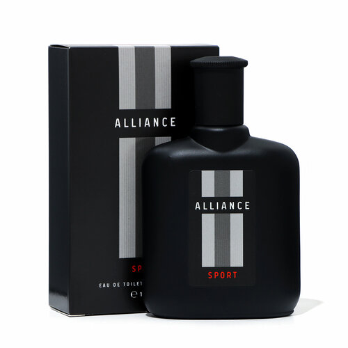 Туалетная вода мужская Alliance Sport, 100 мл (по мотивам Allure Homme Sport (Chanel) духи по мотивам chanel allure home sport 40 мл