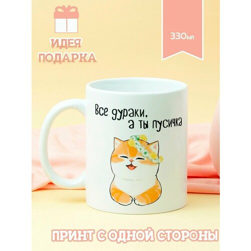 Кружка Котик все дураки 490₽